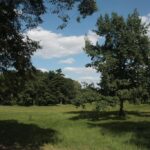 21.08.2015 Green Velo. Łańcut / Robert Felczak / Radio Kielce