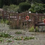 18.08.2015. Green Velo Narol - Przemyśl. Bolestraszyce - Arboretum / Robert Felczak / Radio Kielce