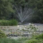 18.08.2015. Green Velo Narol - Przemyśl. Bolestraszyce - Arboretum / Robert Felczak / Radio Kielce