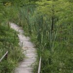 18.08.2015. Green Velo Narol - Przemyśl. Bolestraszyce - Arboretum / Robert Felczak / Radio Kielce