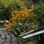 18.08.2015. Green Velo Narol - Przemyśl. Bolestraszyce - Arboretum / Robert Felczak / Radio Kielce