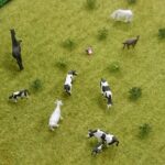 11.08.2015. Prochownie w Terespolu / Karol Żak / Radio Kielce