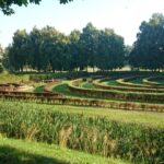 11.08.2015. Ogród zielny z labiryntem / Karol Żak / Radio Kielce