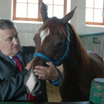 16.08.2015. Poprzednia rekordzistka Kwestura z Michałowa została sprzedana na aukcji Pride of Poland za 1 milion 125 tysięcy Euro / Radosław Podsiadły / Radio Kielce