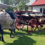 6.8.2015 Supraśl. W Supraślu nasza ekipa natrafiła na ekipę telewizyjną kręcącą serial Blondynka. / Jarosław Dragan / Radio Kielce