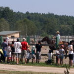 08.08.2015. Dziki Zachód w Kurozwękach / Krzysztof Żołądek / Grzegorz Jamka / Radio Kielce