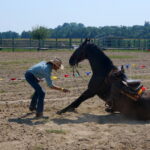 08.08.2015. Dziki Zachód w Kurozwękach / Krzysztof Żołądek / Grzegorz Jamka / Radio Kielce