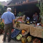 16.08.2015. Święto śliwki w Szydłowie / Krzysztof Bujnowicz / Radio Kielce