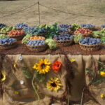 16.08.2015. Święto śliwki w Szydłowie / Krzysztof Bujnowicz / Radio Kielce