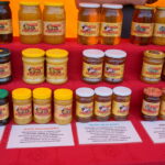 21.08.2015. Święto Pszczoły w Bałtowie / Teresa Czajkowska / Radio Kielce