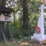 17.08.2015. Green Velo Podkarpacie.  Podkarpacka część Roztocza / Robert Felczak / Radio Kielce