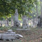 17.08.2015. Green Velo Podkarpacie.  Podkarpacka część Roztocza / Robert Felczak / Radio Kielce