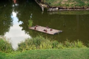 6.8.2015 Białystok. W czwartek udaliśmy się na kolejną wycieczkę rowerową, trasa biegła ścieżką Green Velo z Białegostoku do Supraśla i z powrotem. / Stanisław Blinstrub / Radio Kielce