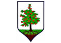 Herb Gminy Obrazów