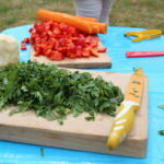 02.08.2015. III Festiwal "Złota Rybka” w Wilkowie / Kamil Król / Radio Kielce