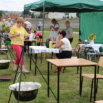 02.08.2015. III Festiwal "Złota Rybka” w Wilkowie / Kamil Król / Radio Kielce