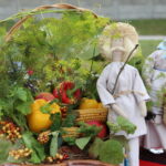 02.08.2015. III Festiwal "Złota Rybka” w Wilkowie / Kamil Król / Radio Kielce