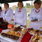 02.08.2015. III Festiwal "Złota Rybka” w Wilkowie / Kamil Król / Radio Kielce