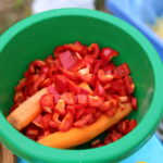 02.08.2015. III Festiwal "Złota Rybka” w Wilkowie / Kamil Król / Radio Kielce