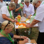 02.08.2015. III Festiwal "Złota Rybka” w Wilkowie / Kamil Król / Radio Kielce