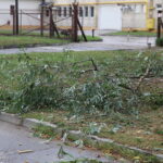 11.08.2015. Połamane gałęzie drzew przy ulicy Skrajnej / Kamil Król / Radio Kielce