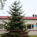 11.08.2015. Uszkodzony dach budynku przy ulicy Skrajnej / Kamil Król / Radio Kielce