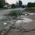 11.08.2015. Połamane gałęzie drzew przy ulicy Skrajnej (zdjęcie archiwalne) / Kamil Król / Radio Kielce