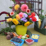 29.08.2015. Dożynki działkowców przy Rodzinnym Domu Działkowca NARCYZ w Kielcach / Kamil Król / Radio Kielce