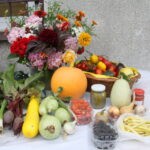 29.08.2015. Dożynki działkowców przy Rodzinnym Domu Działkowca NARCYZ w Kielcach / Kamil Król / Radio Kielce