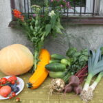 29.08.2015. Dożynki działkowców przy Rodzinnym Domu Działkowca NARCYZ w Kielcach / Kamil Król / Radio Kielce