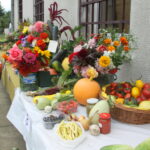 29.08.2015. Dożynki działkowców przy Rodzinnym Domu Działkowca NARCYZ w Kielcach / Kamil Król - Radio Kielce / 29.08.2015. Dożynki działkowców przy Rodzinnym Domu Działkowca NARCYZ w Kielcach