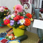 29.08.2015. Dożynki działkowców przy Rodzinnym Domu Działkowca NARCYZ w Kielcach / Kamil Król / Radio Kielce