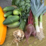 29.08.2015. Dożynki działkowców przy Rodzinnym Domu Działkowca NARCYZ w Kielcach / Kamil Król / Radio Kielce