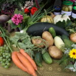 29.08.2015. Dożynki działkowców przy Rodzinnym Domu Działkowca NARCYZ w Kielcach / Kamil Król / Radio Kielce