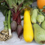 29.08.2015. Dożynki działkowców przy Rodzinnym Domu Działkowca NARCYZ w Kielcach / Kamil Król / Radio Kielce