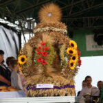 16.08.2015. Drugi dzień "Strawczynady 2015" / Kamil Król / Radio Kielce