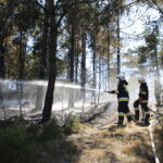 19.08.2015. Pożar lasu w Klonówce, gmina Masłów / Kamil Król / Radio Kielce