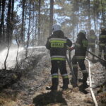 19.08.2015. Pożar lasu w Klonówce, gmina Masłów / Kamil Król / Radio Kielce