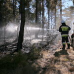 19.08.2015. Pożar lasu w Klonówce, gmina Masłów / Kamil Król / Radio Kielce