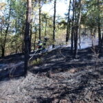 19.08.2015. Pożar lasu w Klonówce, gmina Masłów / Kamil Król / Radio Kielce