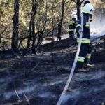 19.08.2015. Pożar lasu w Klonówce, gmina Masłów / Kamil Król / Radio Kielce