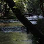 17.08.2015. Green Velo Podkarpacie. Rzeka Tanew / Robert Felczak / Radio Kielce