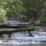 17.08.2015. Green Velo Podkarpacie. Rzeka Tanew / Robert Felczak / Radio Kielce