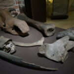 24.8.2015 Sandomierz. / Krzysztof Żołądek / Radio Kielce