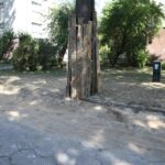 20.08.2015 Kielce. Ulica Św. Stanisława Kostki. Remont ulicy odsłonił korzenie drzew. / Stanisław Blinstrub / Radio Kielce