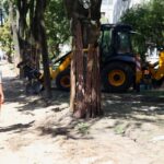 20.08.2015 Kielce. Ulica Św. Stanisława Kostki. Remont ulicy odsłonił korzenie drzew. / Stanisław Blinstrub / Radio Kielce