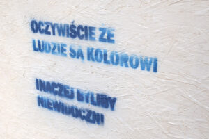 Mowa nienawiści w Muzeum Narodowym w Kielcach (3 września 2015) / Piotr Michalski / Radio Kielce