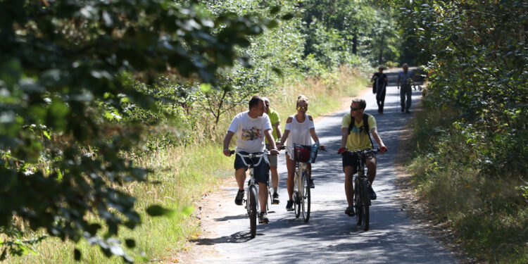 Green Velo - Kielce - Oblęgorek (27 sierpnia 2015 r.) / Piotr Michalski / Radio Kielce