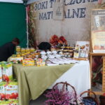 13.9.2015 Obrazów. Europejskie Święto Jabłka / Krzysztof Żołądek / Radio Kielce