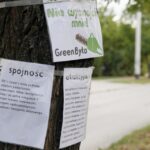 08.09.2015 Kielce. Piekoszowska. Happening przeciwko wycinaniu drzew i planowanej ścieżce rowerowej / Stanisław Blinstrub / Radio Kielce